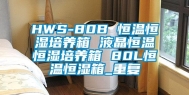 HWS-80B 恒温恒湿培养箱 液晶恒温恒湿培养箱 80L恒温恒湿箱_重复