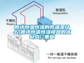 知识百科朗诗恒温恒湿的弊端是什么(朗诗恒温恒湿楼盘的优缺点)_重复