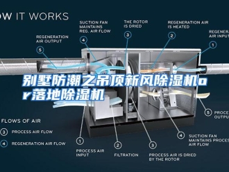 知识百科别墅防潮之吊顶新风除湿机or落地除湿机