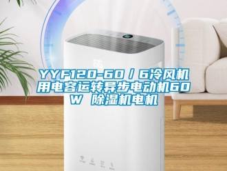 企业动态YYF120-60／6冷风机用电容运转异步电动机60W 除湿机电机