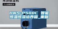 HWS-P500C 智能恒温恒湿培养箱_重复