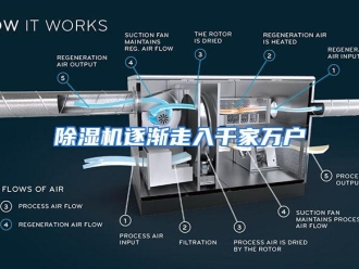 知识百科除湿机逐渐走入千家万户