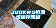 380KWS恒温恒湿存储柜