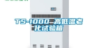 TS-1000 高低温老化试验箱