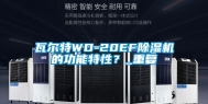 瓦尔特WD-20EF除湿机的功能特性？_重复