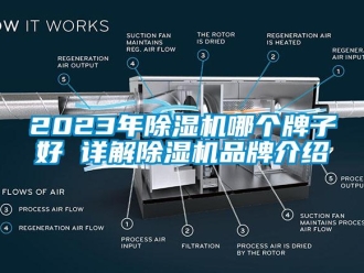 企业动态2023年除湿机哪个牌子好 详解除湿机品牌介绍