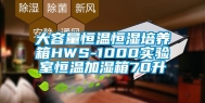 大容量恒温恒湿培养箱HWS-1000实验室恒温加湿箱70升