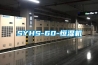 SYHS-60-恒湿机