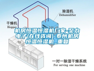 知识百科机房恒温恒湿机厂家-至力电子(在线咨询)-泰州机房恒温恒湿机_重复