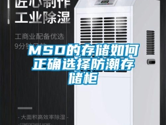 企业动态MSD的存储如何正确选择防潮存储柜