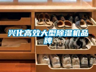 企业动态兴化高效大型除湿机品牌