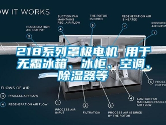 企业动态218系列罩极电机 用于无霜冰箱、冰柜、空调、除湿器等