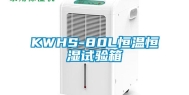 KWHS-80L恒温恒湿试验箱