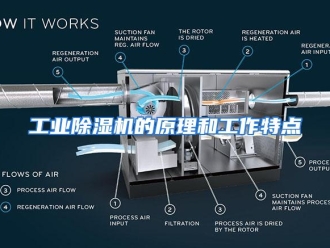 知识百科工业除湿机的原理和工作特点