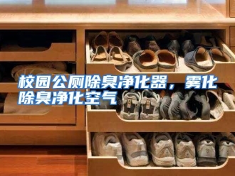 企业动态校园公厕除臭净化器，雾化除臭净化空气