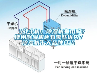 企业动态「战斗机」除湿机有用吗？使用除湿机还有哪些优势？除湿机十大品牌介绍