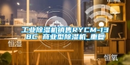 工业除湿机销售RYCM-138C 商业型除湿机_重复