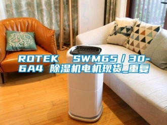 企业动态ROTEK  SWM65／30-6A4 除湿机电机现货_重复