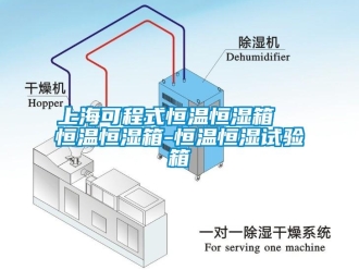 知识百科上海可程式恒温恒湿箱  恒温恒湿箱-恒温恒湿试验箱