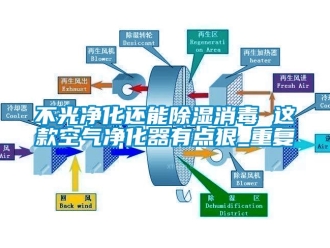 企业动态不光净化还能除湿消毒 这款空气净化器有点狠_重复