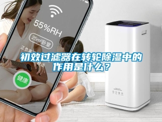 企业动态初效过滤器在转轮除湿中的作用是什么？