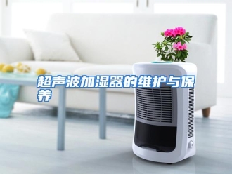 知识百科超声波加湿器的维护与保养