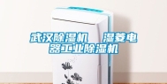 武汉除湿机  湿菱电器工业除湿机