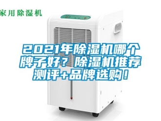 企业动态2021年除湿机哪个牌子好？除湿机推荐测评+品牌选购！