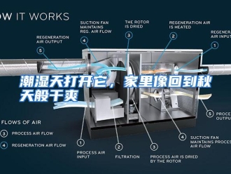 知识百科潮湿天打开它，家里像回到秋天般干爽