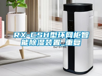 企业动态RX-CSH型环网柜智能除湿装置_重复