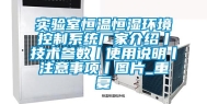 实验室恒温恒湿环境控制系统厂家介绍丨技术参数丨使用说明丨注意事项丨图片_重复