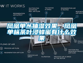 企业动态凤凰单丛抽湿效果，凤凰单枞荼叶浸蜂蜜有什么效果