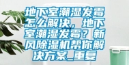 地下室潮湿发霉怎么解决，地下室潮湿发霉？新风除湿机帮你解决方案_重复