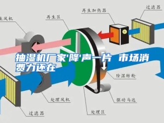 知识百科抽湿机厂家'降'声一片 市场消费力还在