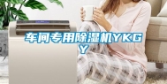 车间专用除湿机YKGY