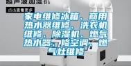 家电维修冰箱、商用热水器维修、洗衣机维修、除湿机、燃气热水器、修空调、燃气灶维修