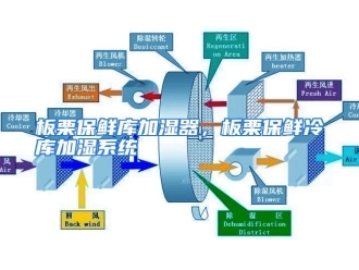 企业动态板栗保鲜库加湿器，板栗保鲜冷库加湿系统