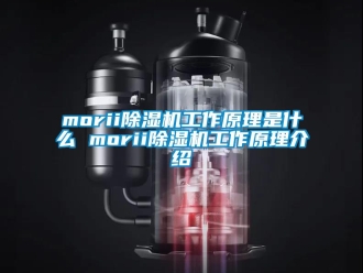 企业动态morii除湿机工作原理是什么 morii除湿机工作原理介绍