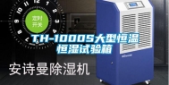 TH-1000S大型恒温恒湿试验箱