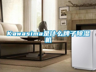 企业动态Kawasima是什么牌子除湿机