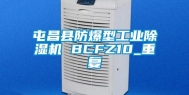 屯昌县防爆型工业除湿机 BCFZ10_重复