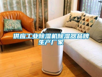 企业动态供应工业除湿机除湿器品牌生产厂家