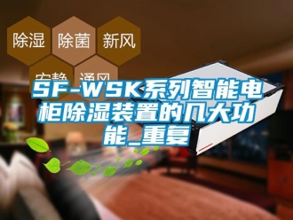 企业动态SF-WSK系列智能电柜除湿装置的几大功能_重复