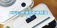 CFZ-8.8S工业除湿机